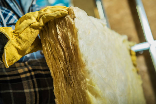 Best Specialized Insulation Services in Laguna Beach, FL