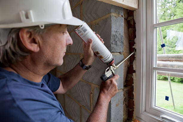 Best Cellulose Insulation in Laguna Beach, FL