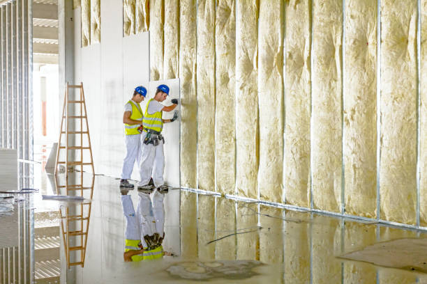 Best Eco-Friendly Insulation in Laguna Beach, FL